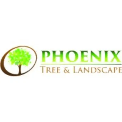 Phoenix Tree & Landscape