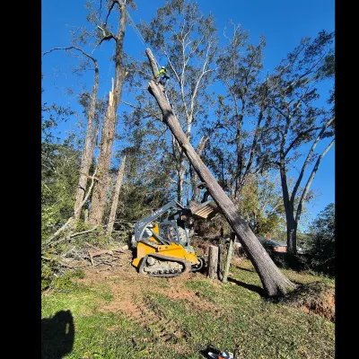 Sabillon Tree Service 