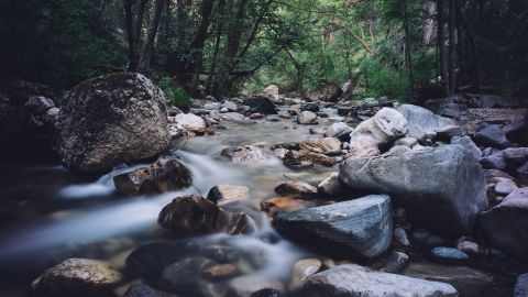 Part 4 - Claim 2 fame - Richness, Fullness, Overflowing