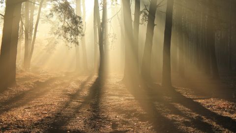Holy Spirit: we are ministers of His supply