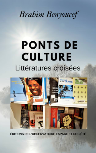 Ponts de culture cover