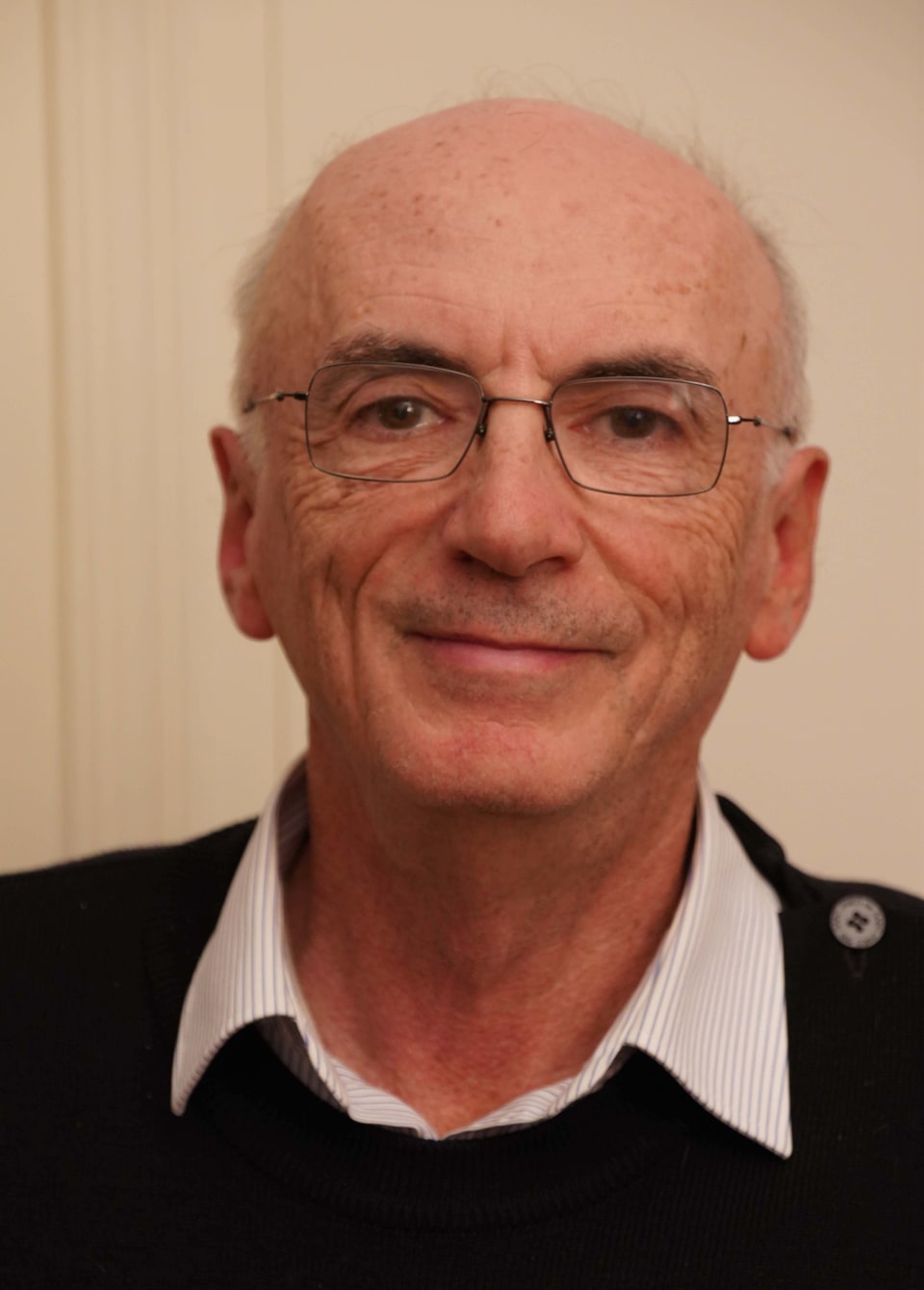 Bertrand Picard photo