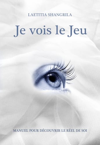 Je vois le jeu cover