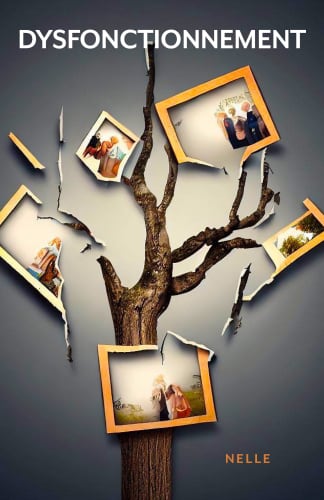 Dysfonctionnement cover