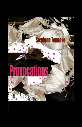 Provocations cover