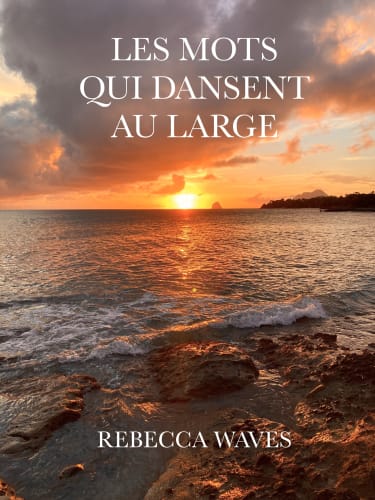 Les mots qui dansent au large cover