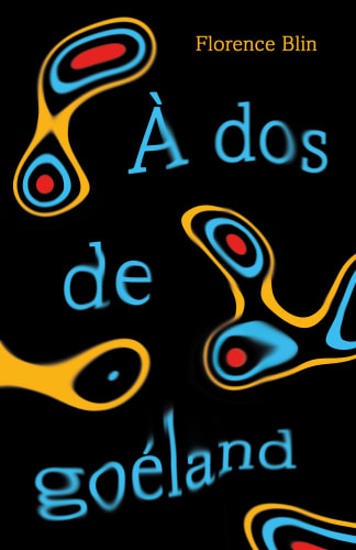 À dos de goéland cover
