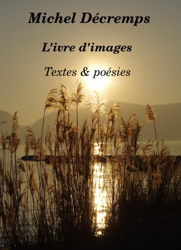 L'Ivre d'images cover