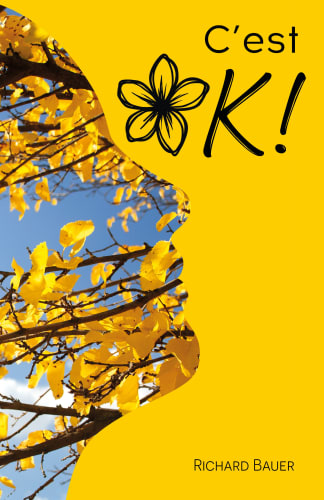 C’est OK ! cover