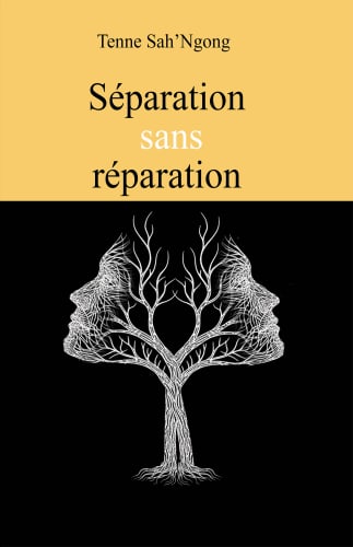Séparation sans réparation cover
