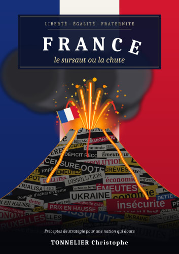 France, le sursaut ou la chute cover