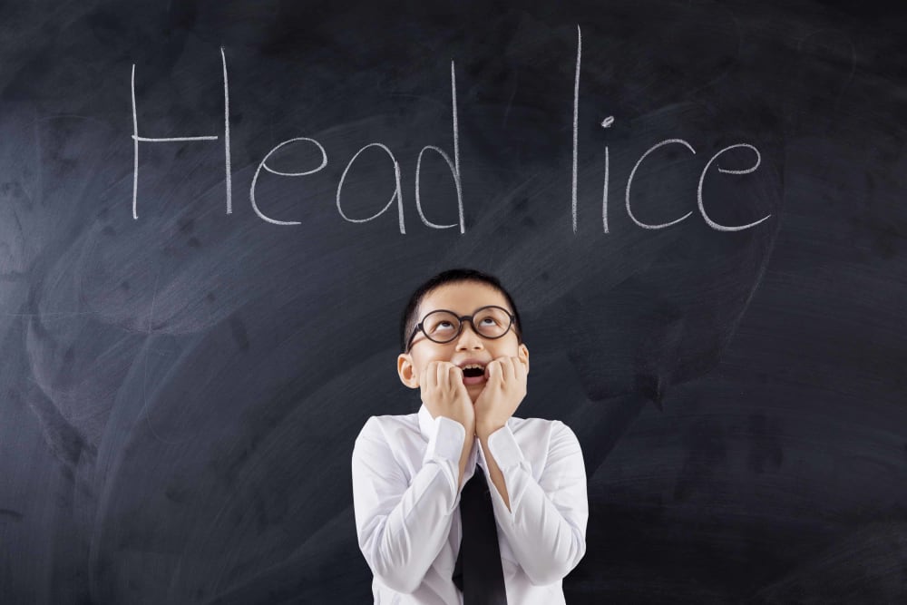head-lice
