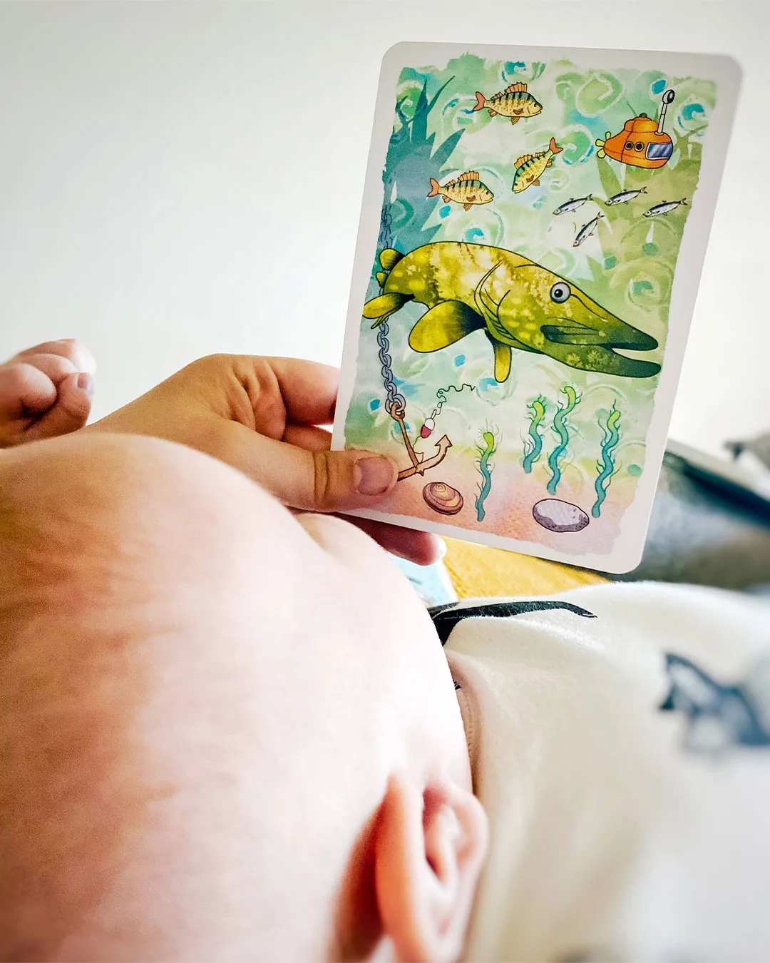 Lorupussi ja lorukortit. Lorupussi ja kortit uusilla loruilla