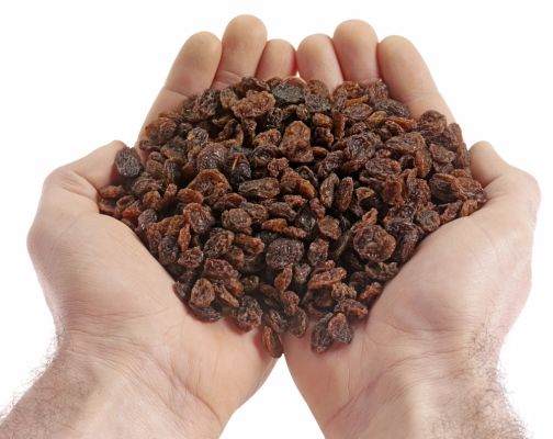 Handfull Of Raisins Mindfullness