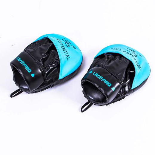 Boxing pads online clearance