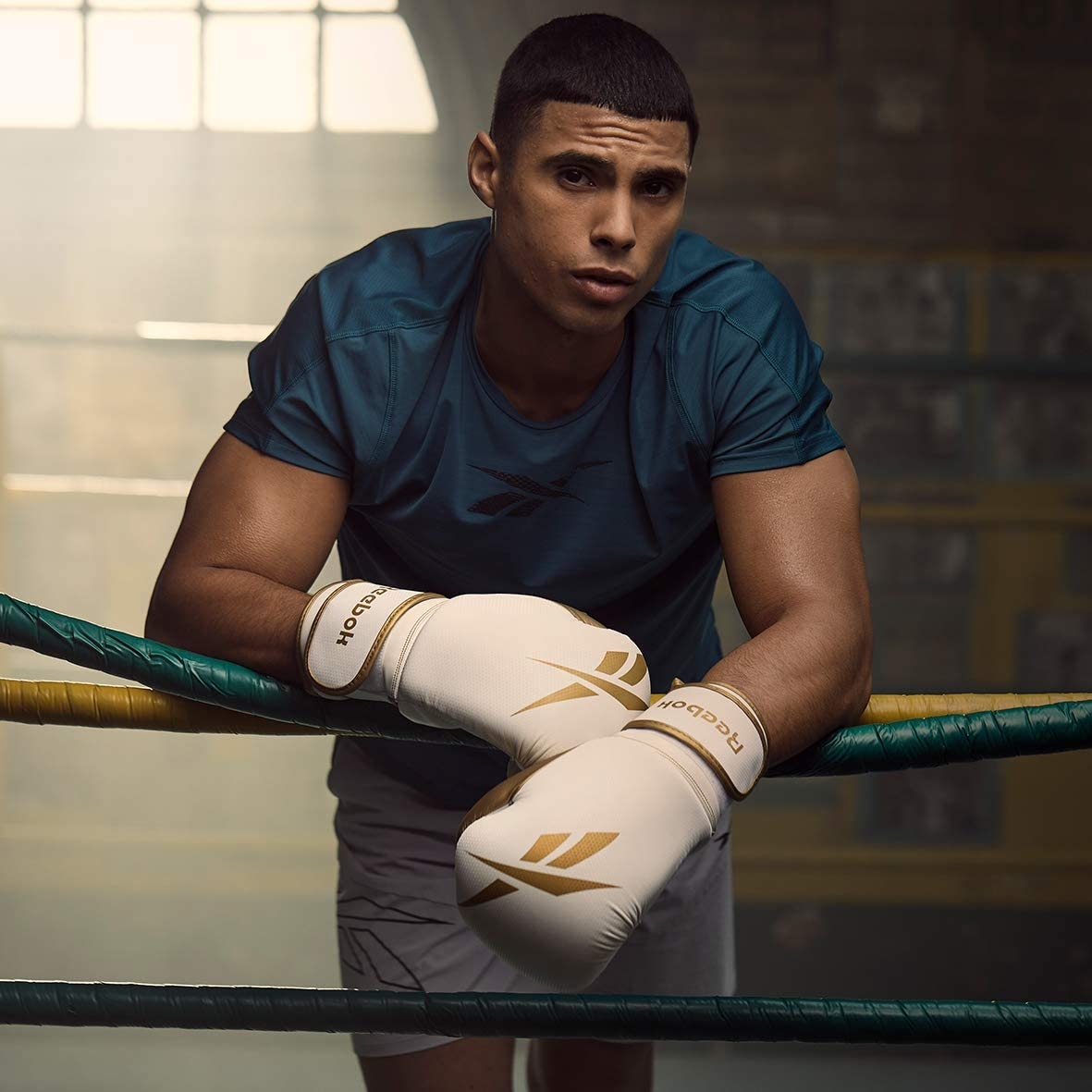 Reebok boxing gloves cheap