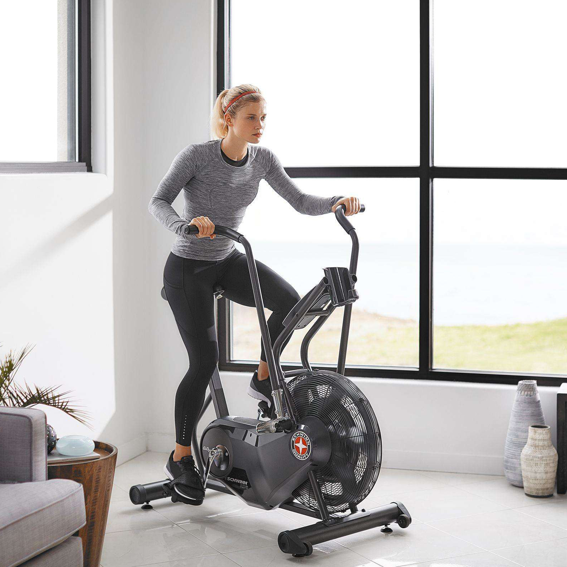 Schwinn airdyne recumbent exercise bike outlet