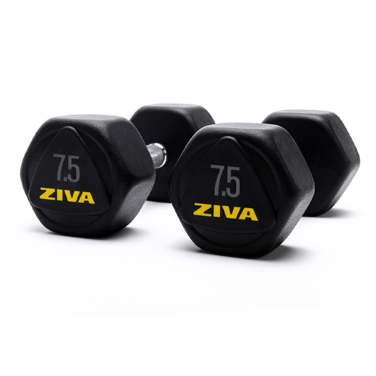 Hex store dumbbells 15kg