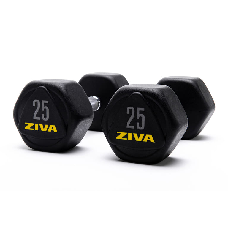 Steel dumbbells online online