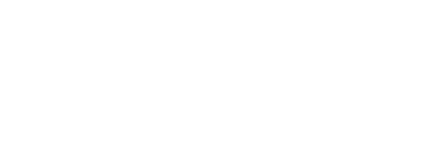 STECK
