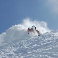 Alta Discount Lift Tickets & Passes from $70.00 | Liftopia
