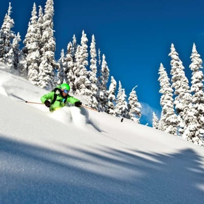 Bluebird & 18" of fresh!