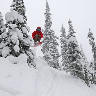 schweitzer liftopia
