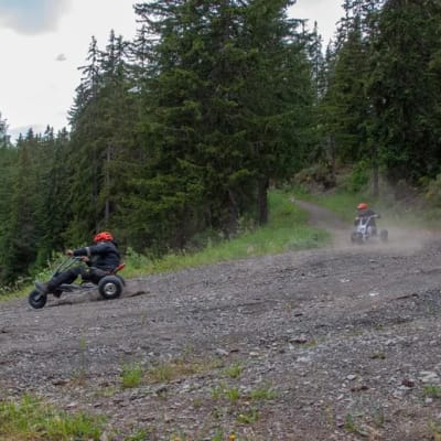 Mountain Cart Arnouva photo
