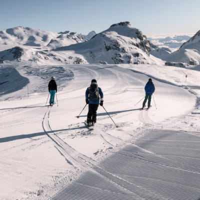 Pass Dynamic 3 Day Lift Ticket photo