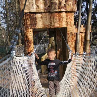 Sherwood Parc Birthday Ticket - Tree Climbing photo
