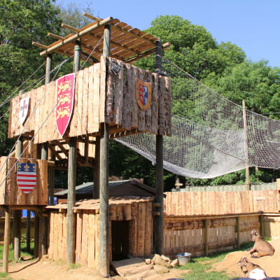 Sherwood Parc Birthday Ticket - Tree Climbing photo
