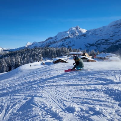 Forfait 1 Jour Villars-Gryon-Diablerets photo