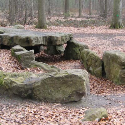 Sherwood Parc Electric Scooter Tour photo