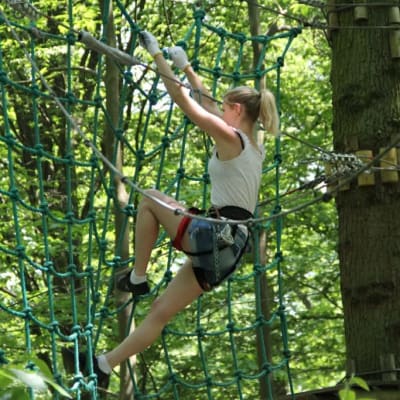 Pack Sherwood Accrobranche photo