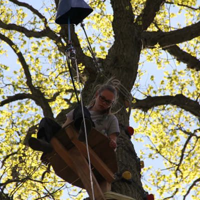 Pack Sherwood 3 Activities photo