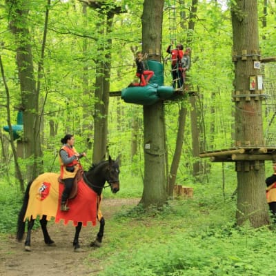 Pack Sherwood 3 Activities photo