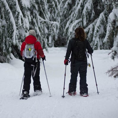 Sasquatch Mountain Resort photo