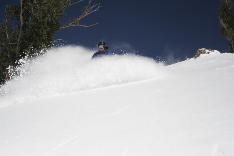 Snowbird Discount Lift Tickets & Passes from $50.00 | Liftopia