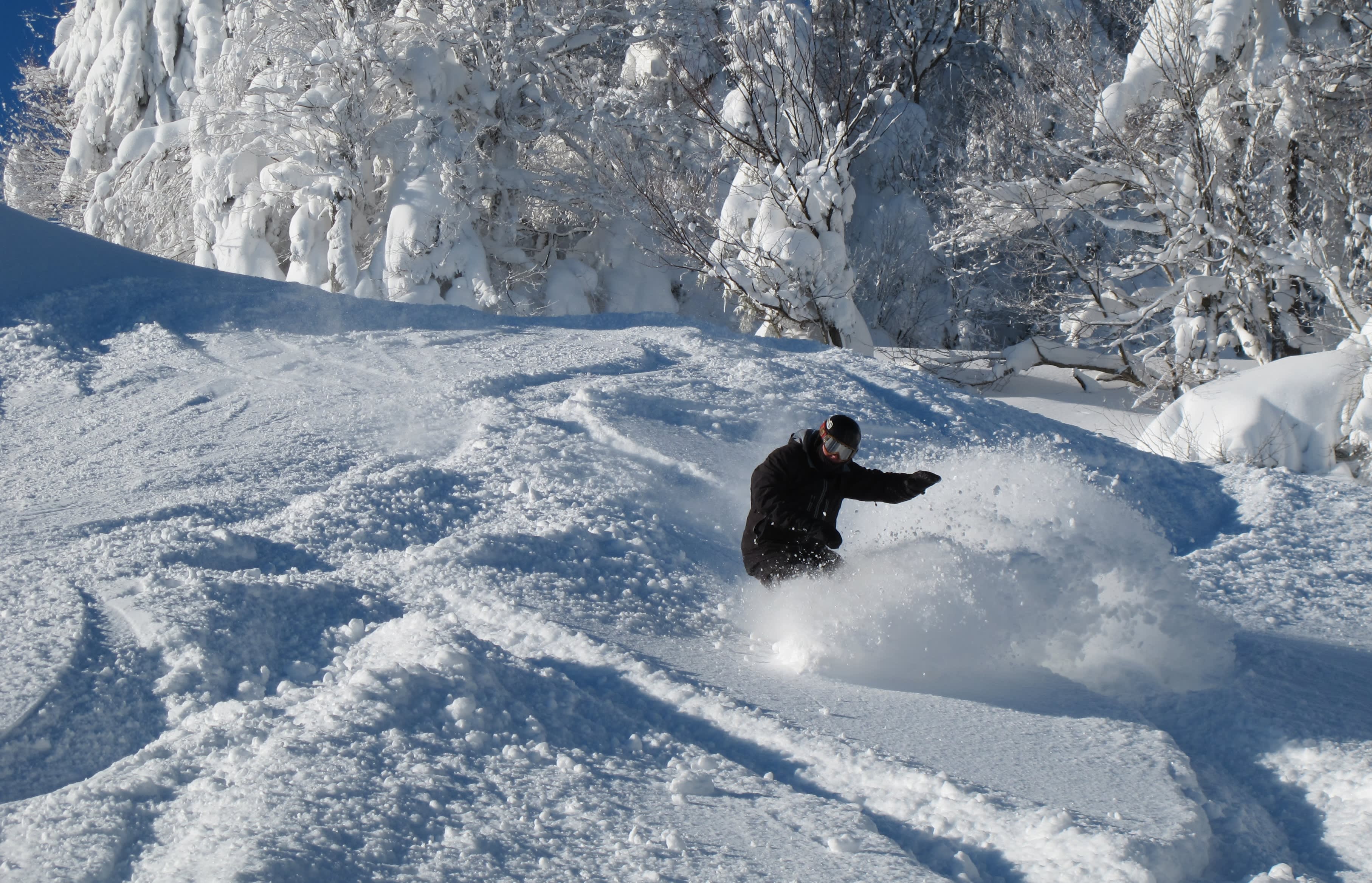 Snowshoe Mountain Discount Lift Tickets & Passes Liftopia