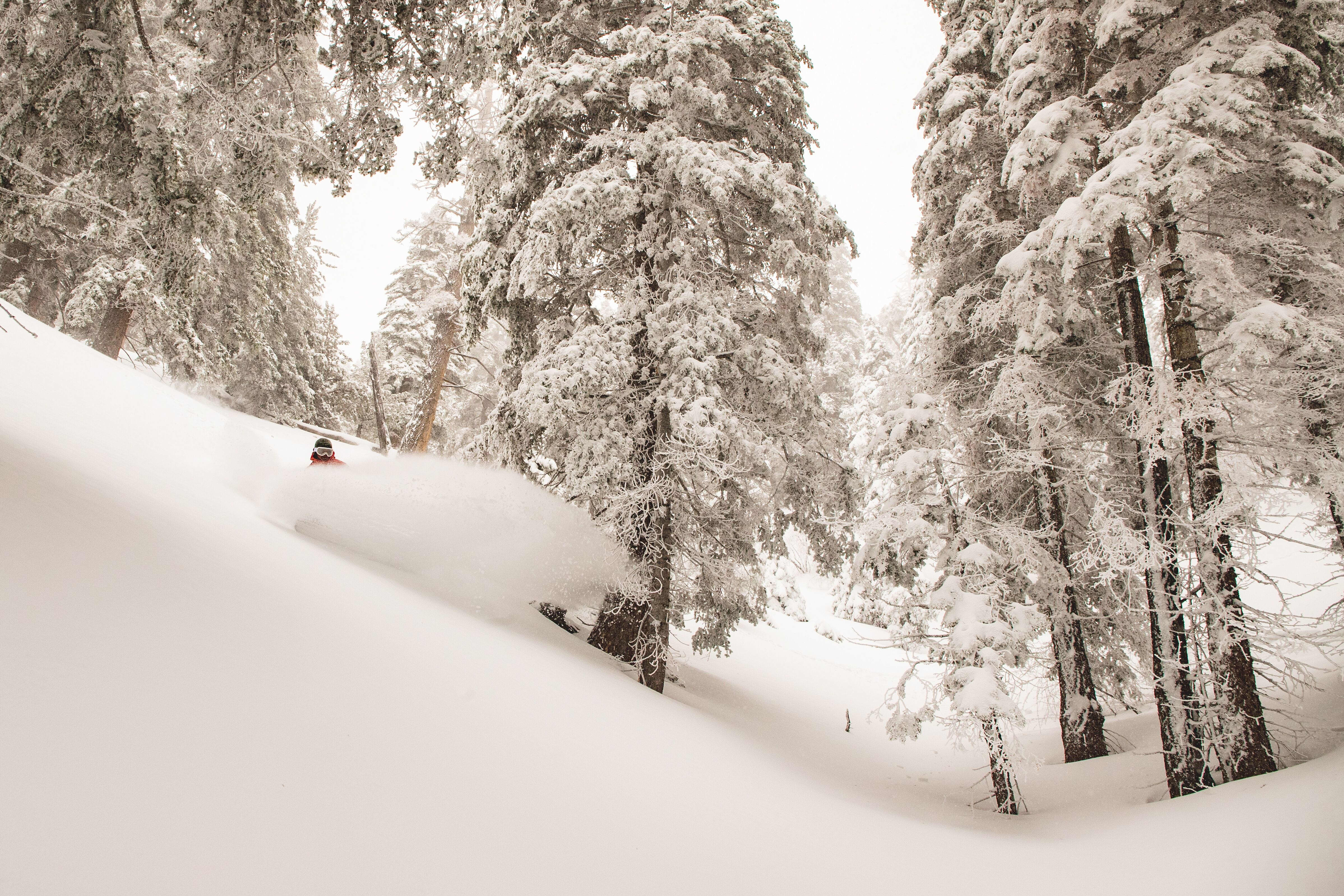 Bear Mountain Discount Lift Tickets & Passes | Liftopia