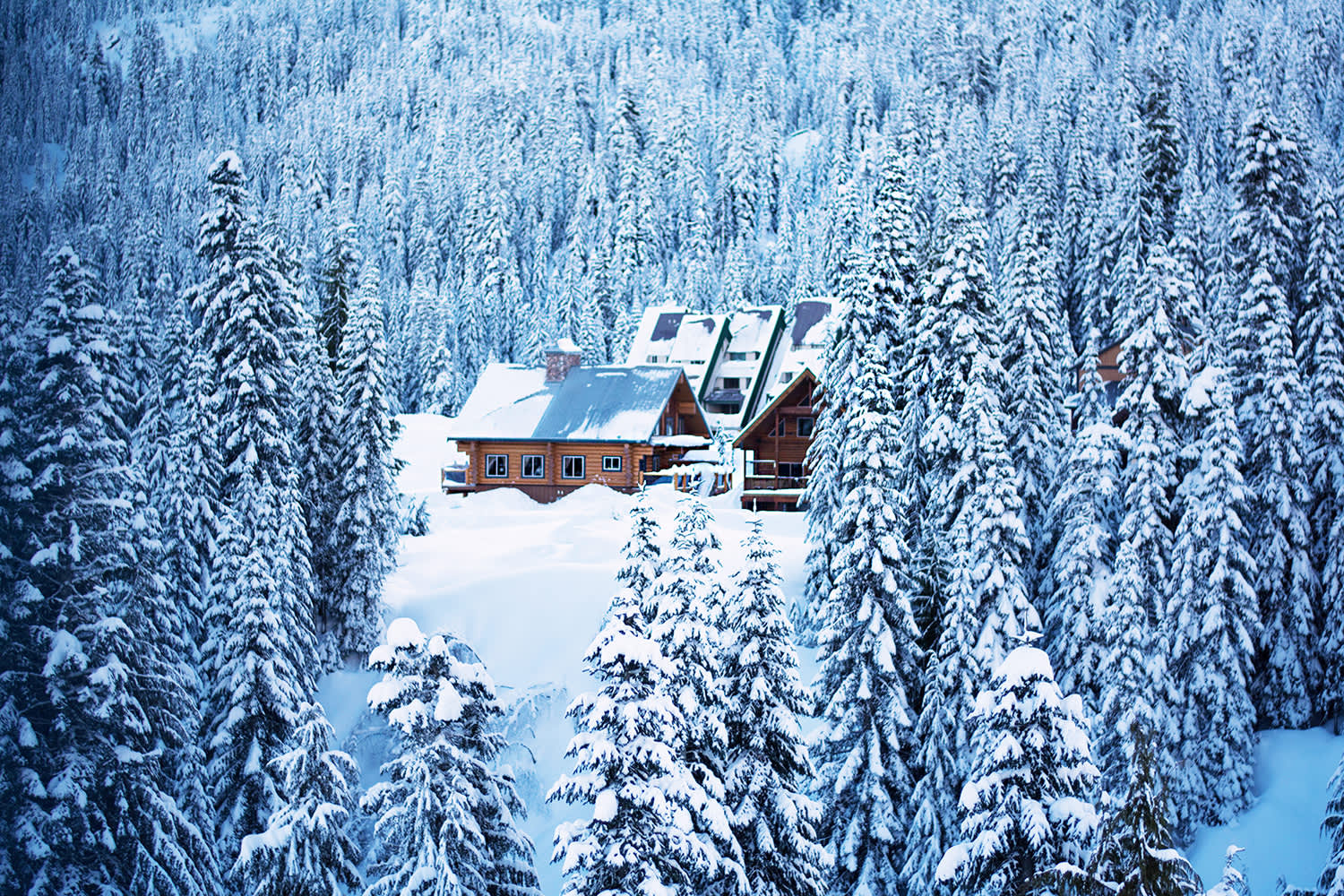 Sasquatch Mountain Ski Map Sasquatch Mountain Resort Discount Lift Tickets &Amp; Passes | Liftopia