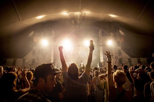 Sziget - 2013 cover image