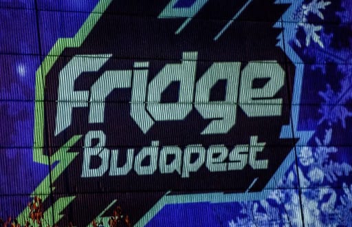 Fridge - 2013 cover image