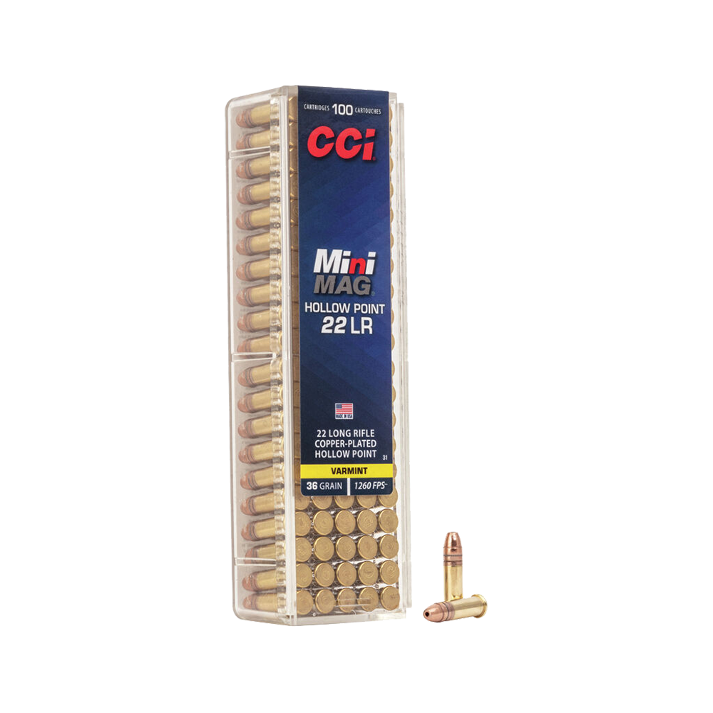 CCI Mini Mag HP 22LR 36gr - featured image
