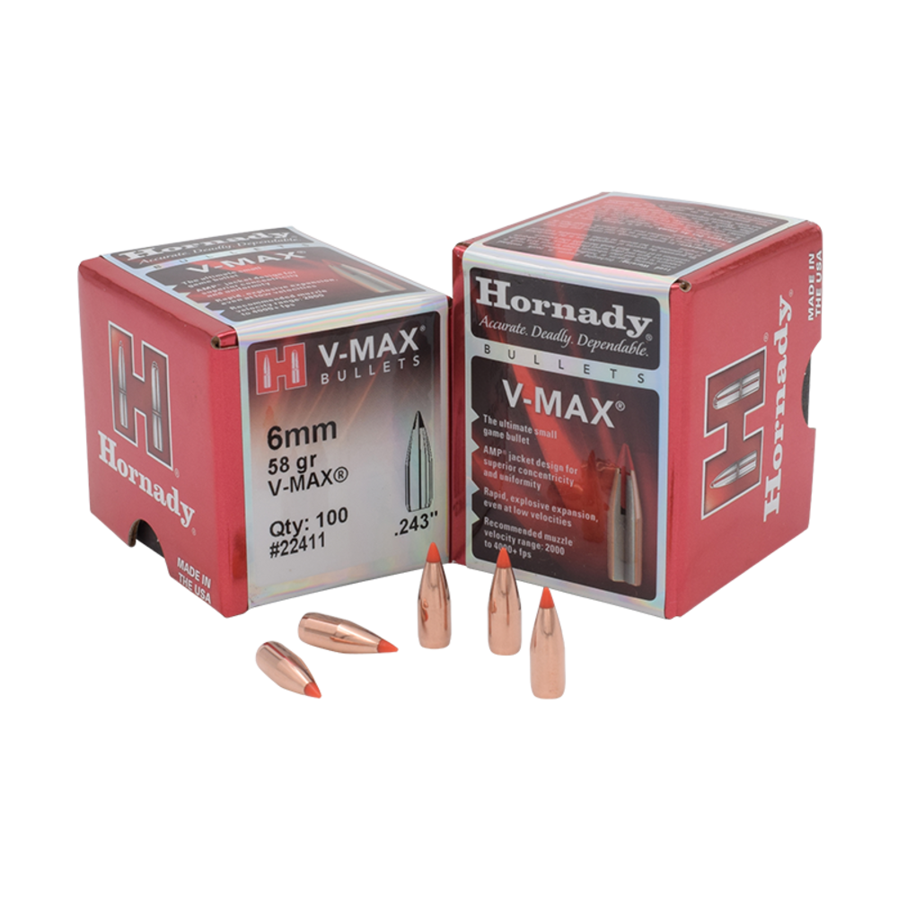 Hornady 6Mm 58Gr V-Max (100) - featured image