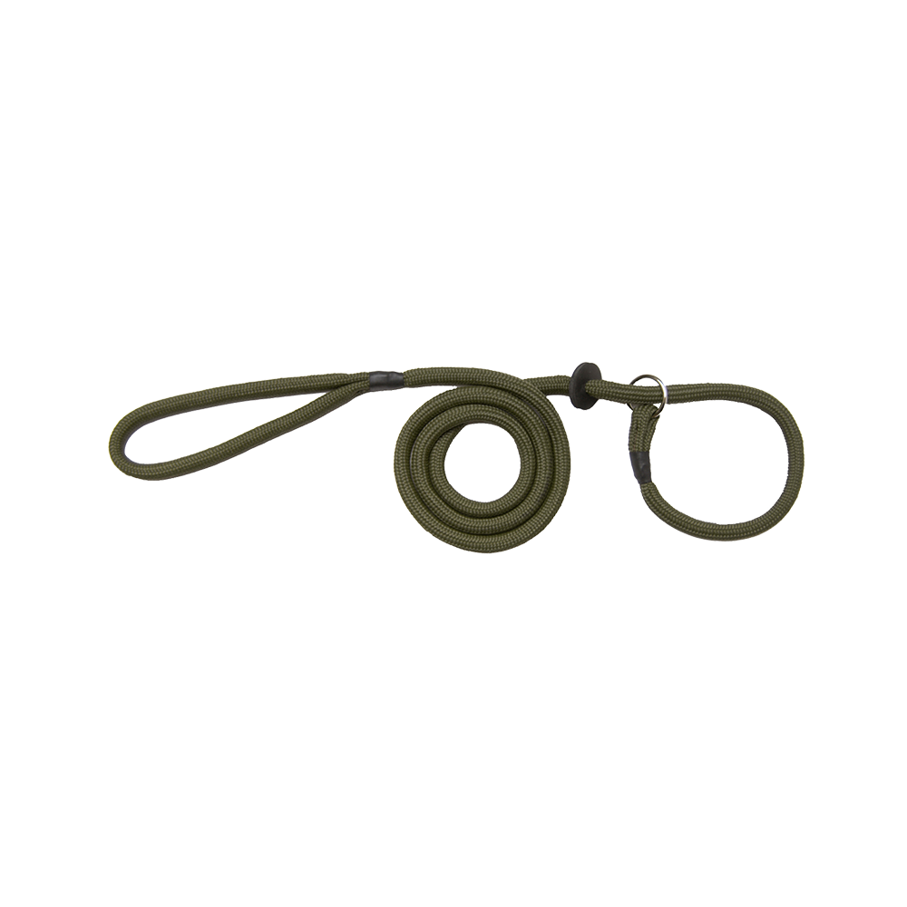 Bisley Basic Dog Slip Lead Green - featured image