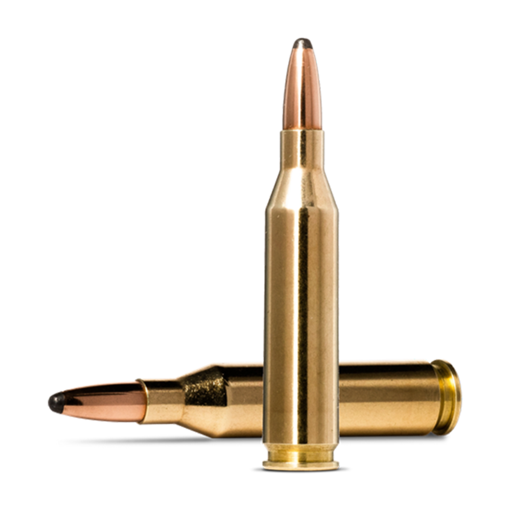 Norma Whitetail 243 Sp 100G - featured image