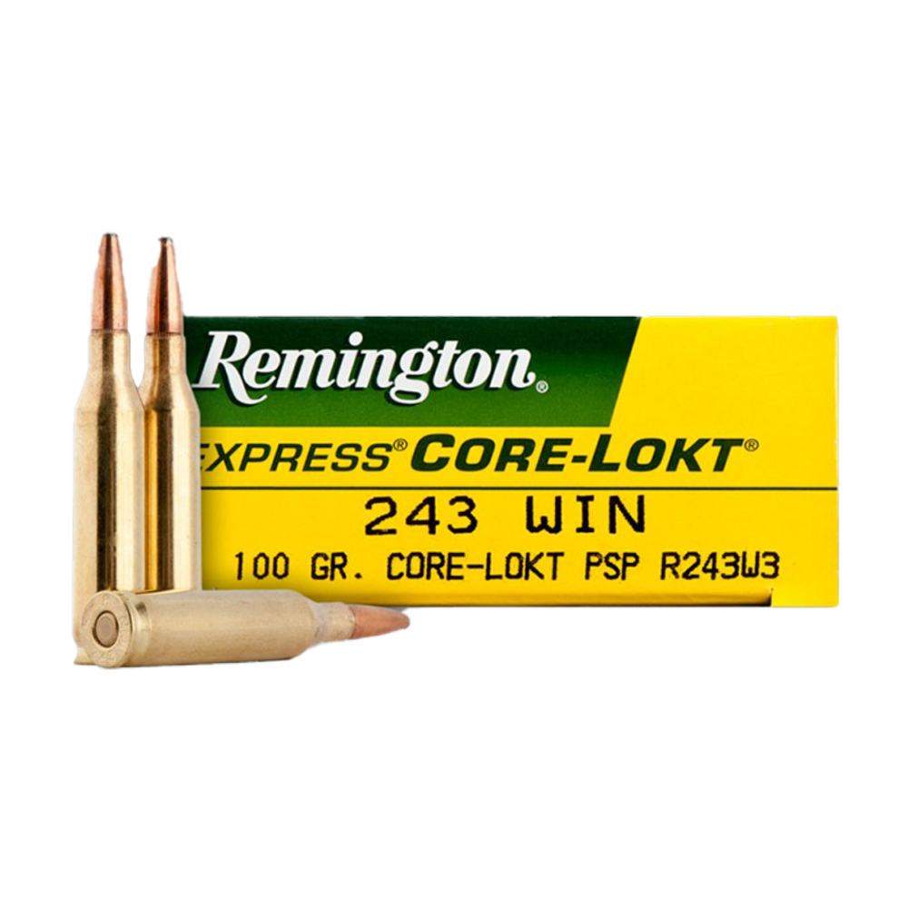 Remington 243 Core-Lokt Sp 100G - featured image