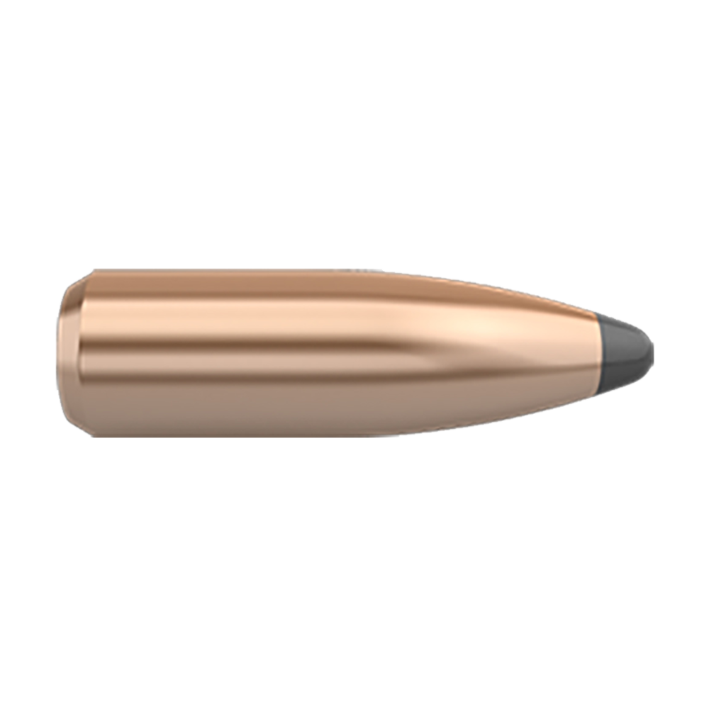 Nosler 22/.224" 60gr Partition - featured image