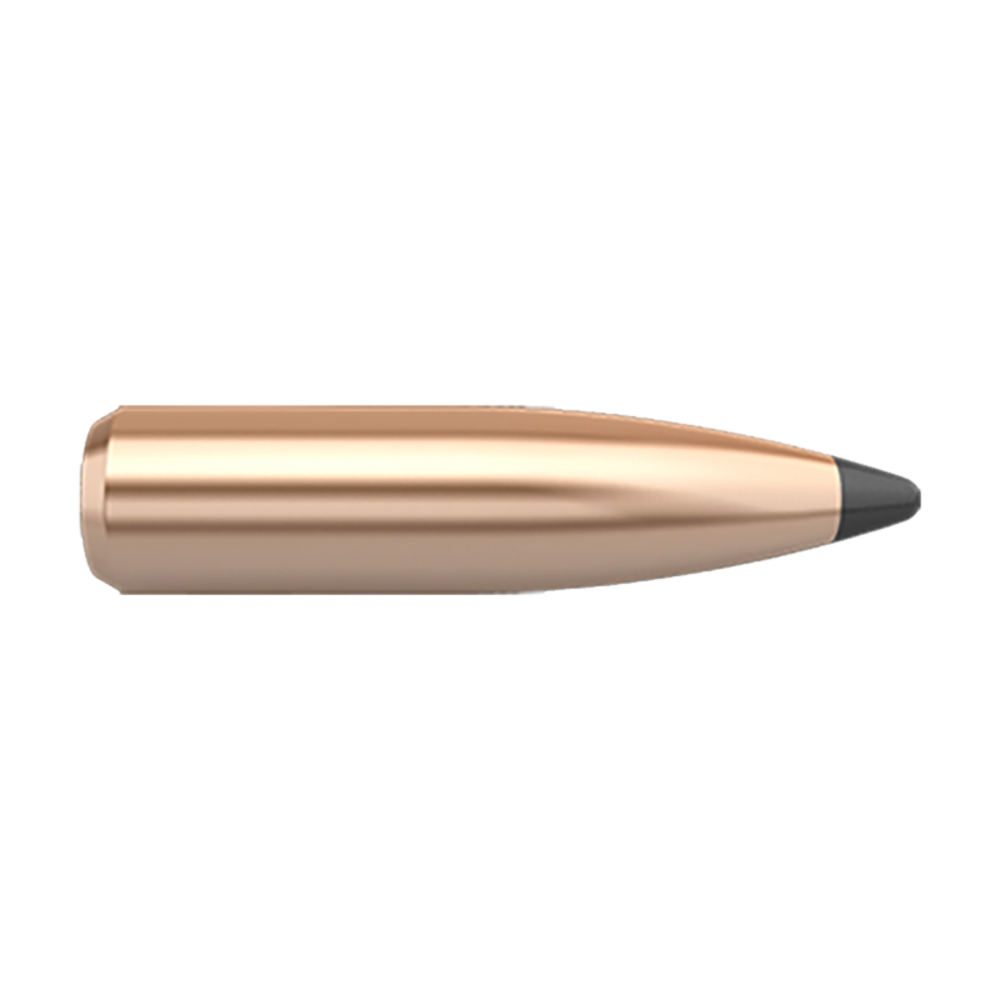 Nosler .25 115gr Partition - featured image